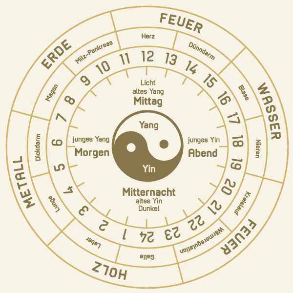 Grundlagen der traditionellen chinesischen Medizin – Julia Lindenbaum